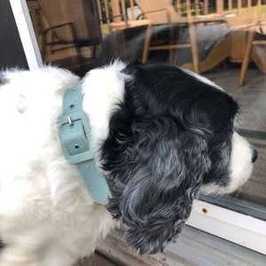 Blue Retro Dog Collar (E)